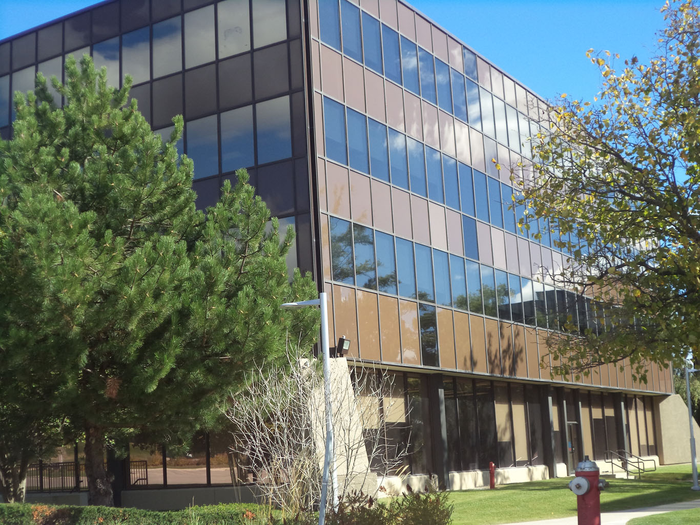 Zemlar - 2000 Argentia